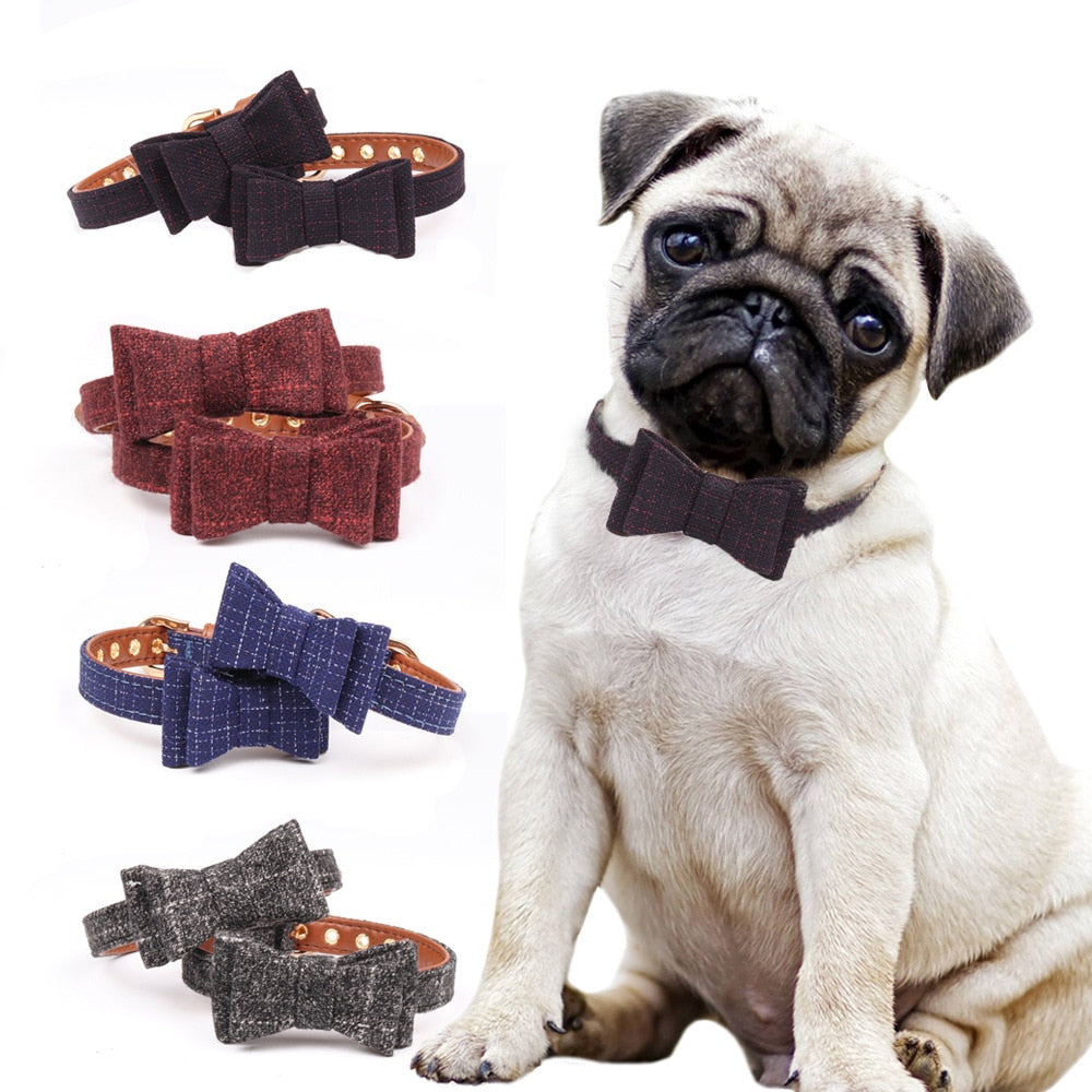 The Little Gentleman Bow Collar