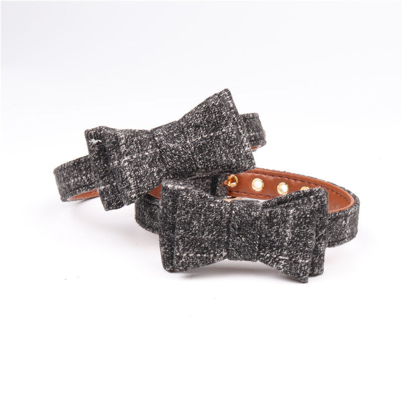 The Little Gentleman Bow Collar